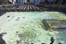 182977_2.jpg  : 77 KB