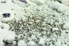 182977_3.jpg  : 97 KB