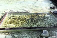 182977_4.jpg  : 89 KB