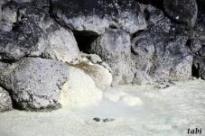 182977_5.jpg  : 103 KB