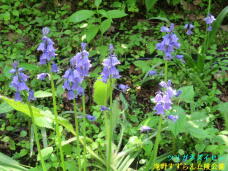 182978_2.jpg  : 87 KB