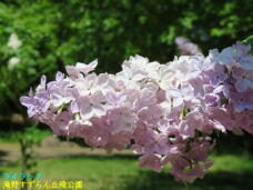 182978_3.jpg  : 48 KB