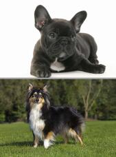 182981_1.jpg  : 122 KB