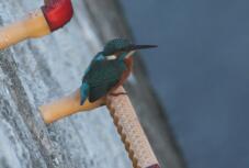 182983_2.jpg  : 85 KB