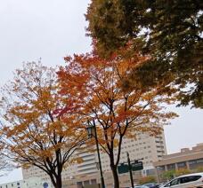 182985_1.jpg  : 74 KB