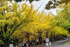 182985_2.jpg  : 73 KB