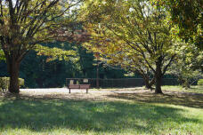 182986_1.jpg  : 454 KB