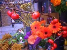 182989_1.jpg  : 128 KB