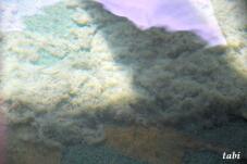 182993_5.jpg  : 46 KB