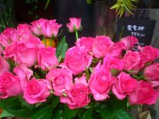 183002_1.jpg  : 128 KB