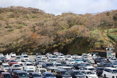 183005_3.jpg  : 223 KB