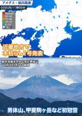 183011_2.jpg  : 163 KB