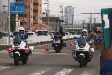 183017_3.jpg  : 158 KB