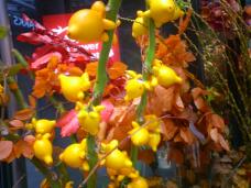 183018_1.jpg  : 123 KB