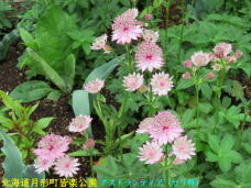 183021_2.jpg  : 73 KB