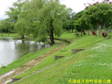 183021_3.jpg  : 79 KB