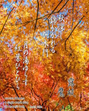 183051_1.jpg  : 402 KB