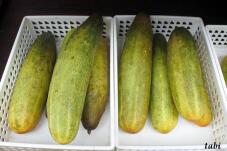 183056_4.jpg  : 60 KB