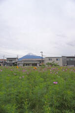 183062_1.jpg  : 179 KB