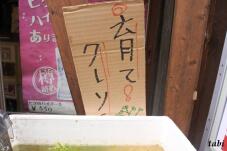 183069_3.jpg  : 46 KB