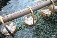 183069_9.jpg  : 94 KB