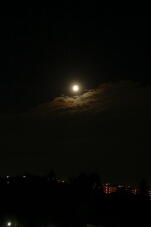 183077_2.jpg  : 16 KB