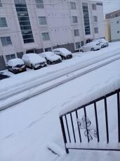 183082_1.jpg  : 32 KB