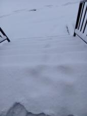 183082_2.jpg  : 13 KB