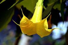 183091_2.jpg  : 26 KB