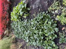 183097_3.jpg  : 98 KB