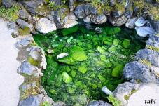 183107_9.jpg  : 123 KB