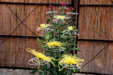 183114_2.jpg  : 202 KB