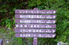 183121_1.jpg  : 110 KB