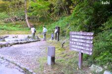 183121_2.jpg  : 107 KB