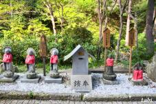 183121_9.jpg  : 129 KB