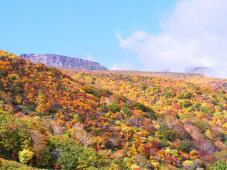 183125_1.jpg  : 121 KB