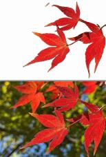 183125_3.jpg  : 192 KB