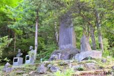 183132_5.jpg  : 151 KB