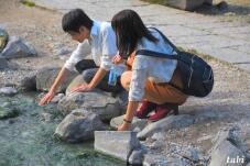 183132_8.jpg  : 85 KB