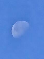 183149_1.jpg  : 14 KB