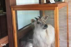 183155_9.jpg  : 43 KB