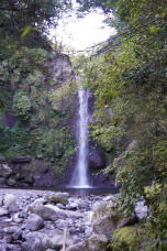 183181_2.jpg  : 274 KB