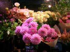 183184_1.jpg  : 125 KB