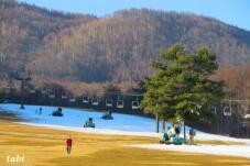 183188_6.jpg  : 47 KB