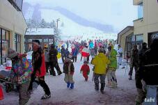 183188_8.jpg  : 64 KB