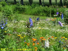 183189_2.jpg  : 116 KB