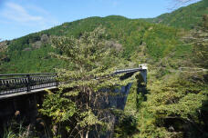 183193_1.jpg  : 356 KB