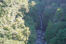 183193_2.jpg  : 343 KB