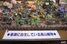 183200_3.jpg  : 80 KB