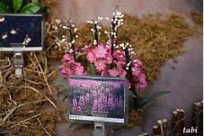 183200_7.jpg  : 75 KB